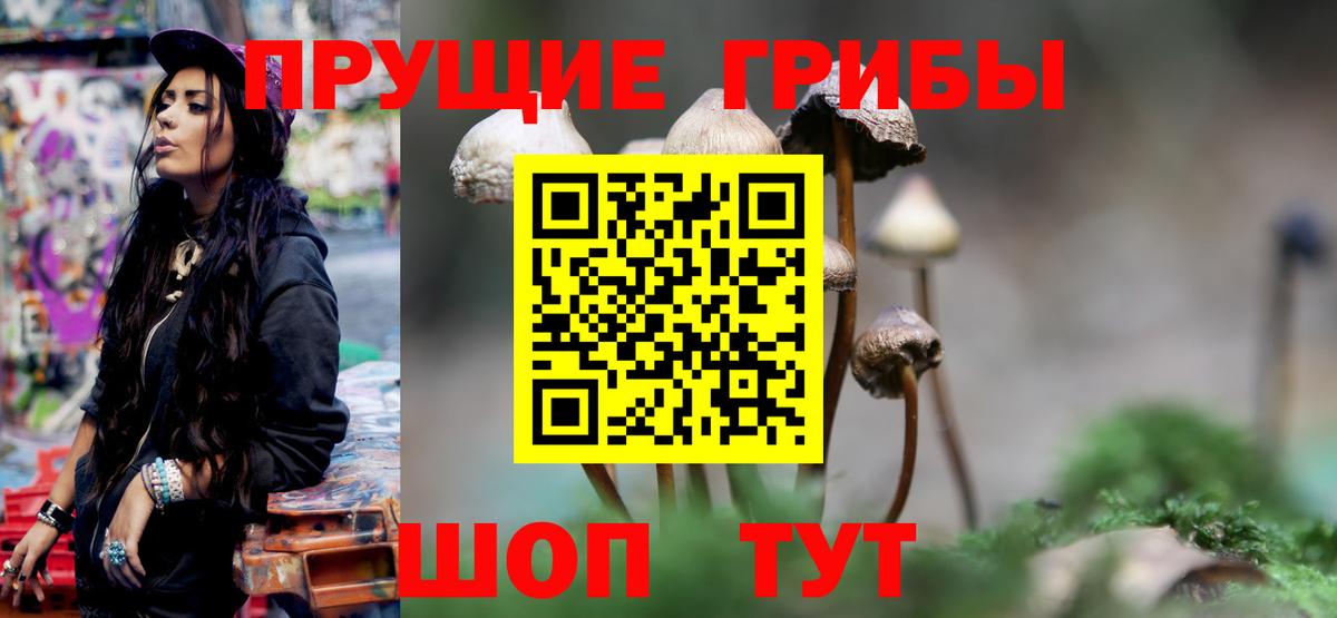 Галлюциногенные грибы мухоморы Ростов Великий