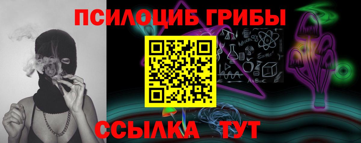 Ростов Великий  Галлюциногенные грибы MAGIC MUSHROOMS  Псилоцибиновые грибы прущие грибы  Вход с VPN 